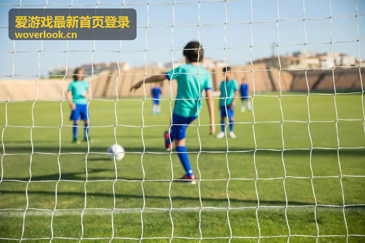 爱游戏最新首页登录页面入口与版本信息展示